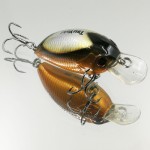  TsuYoki AGENT 36F SD001