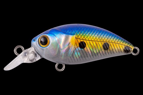  TsuYoki FUGAZ 36F X100