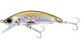  Yo-Zuri 3D Inshore Minnow 70F R1211-HPBK