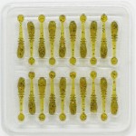   Crazy Fish WHITEBAIT 16-20-1-6