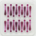   Crazy Fish WHITEBAIT 16-20-12-6
