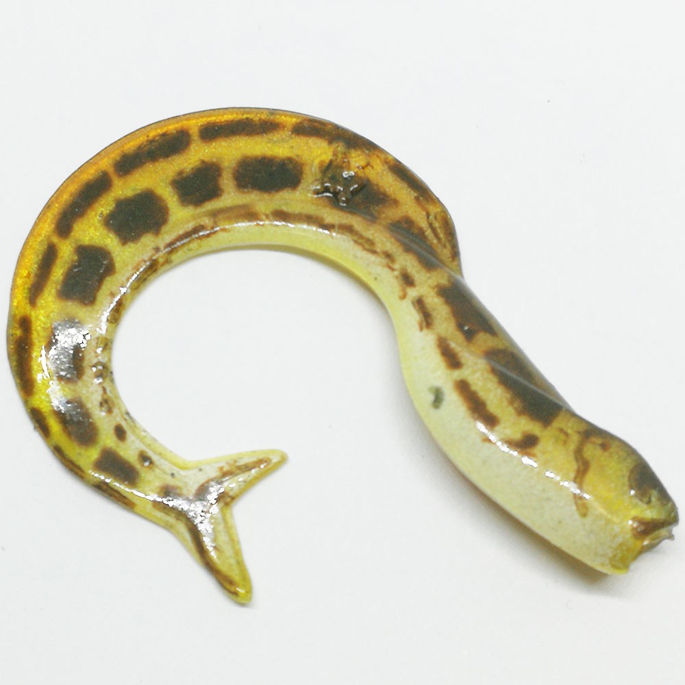   Orka  2111-SI-7 Y08