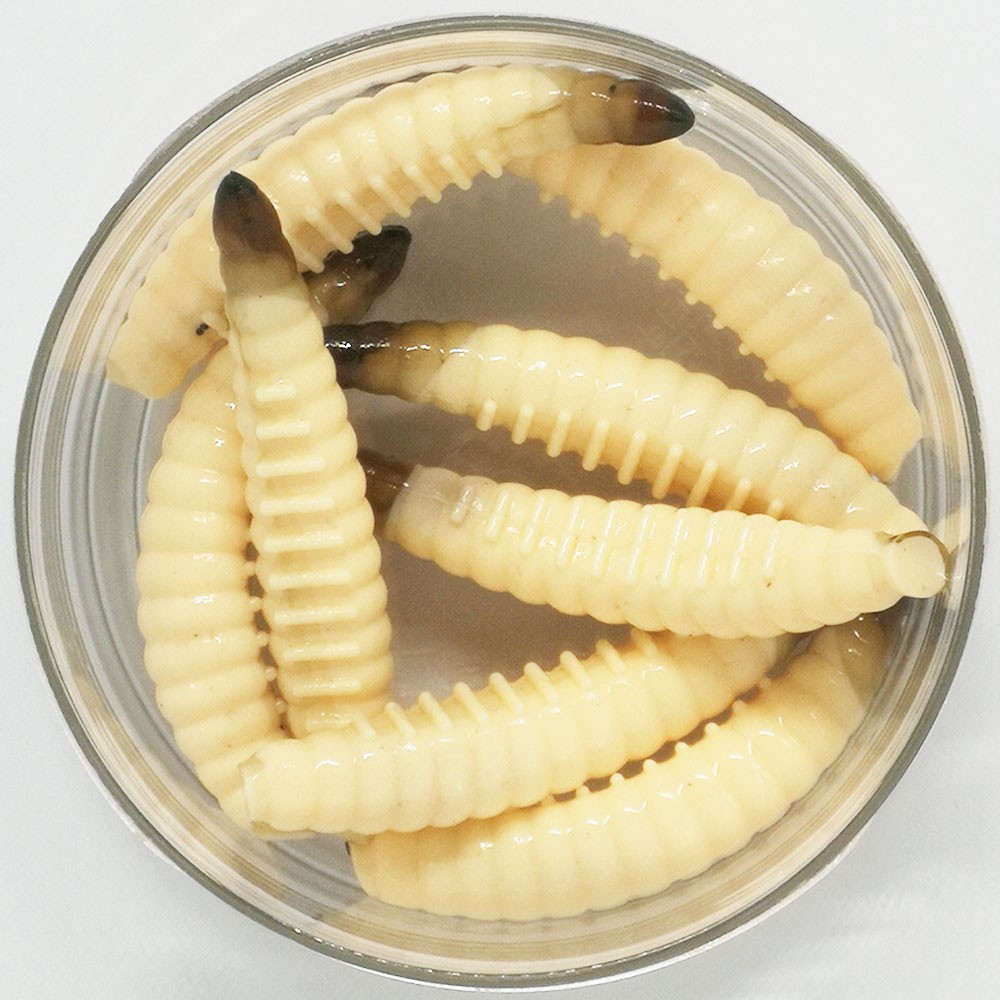   Boroda Baits SALO 45 , .  / , 8 ./. 