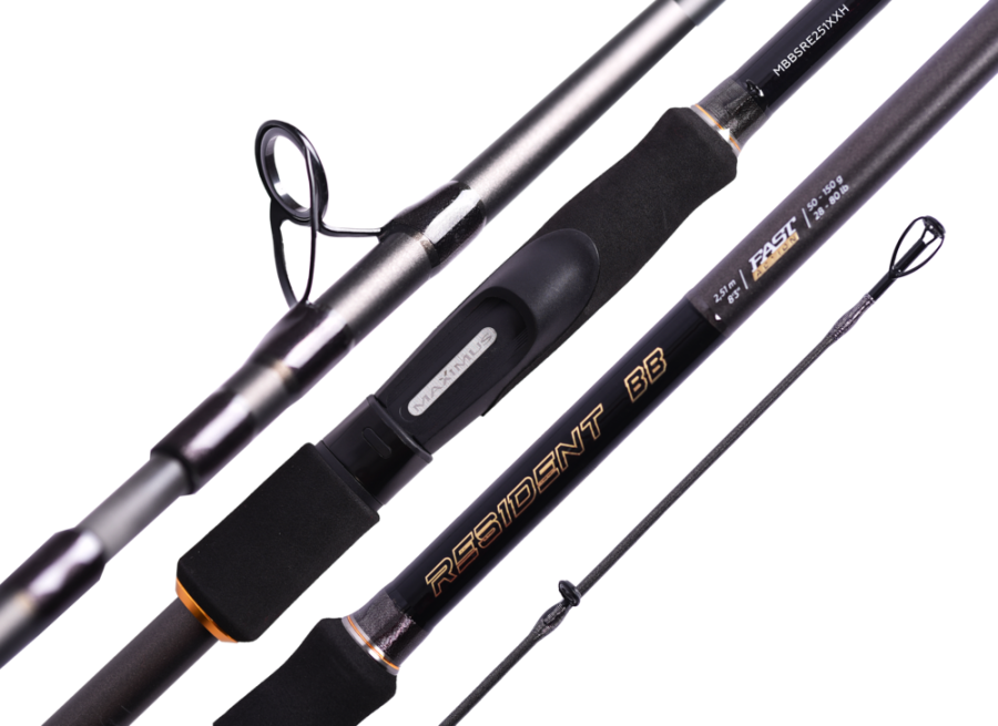  Maximus RESIDENT BB 170XH 1,7m max 90g