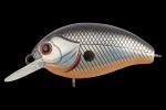  TsuYoki AGENT 36F 073Z
