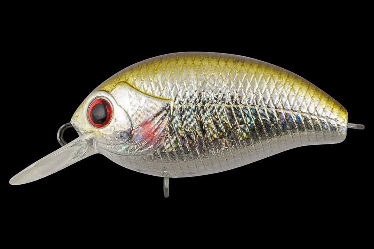  TsuYoki AGENT 36F 1005