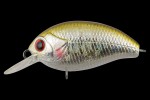  TsuYoki AGENT 36F 1005