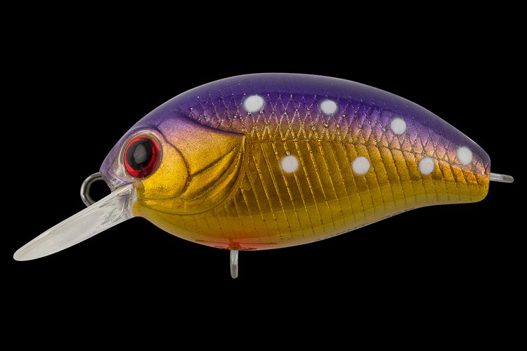  TsuYoki AGENT 36F 1017