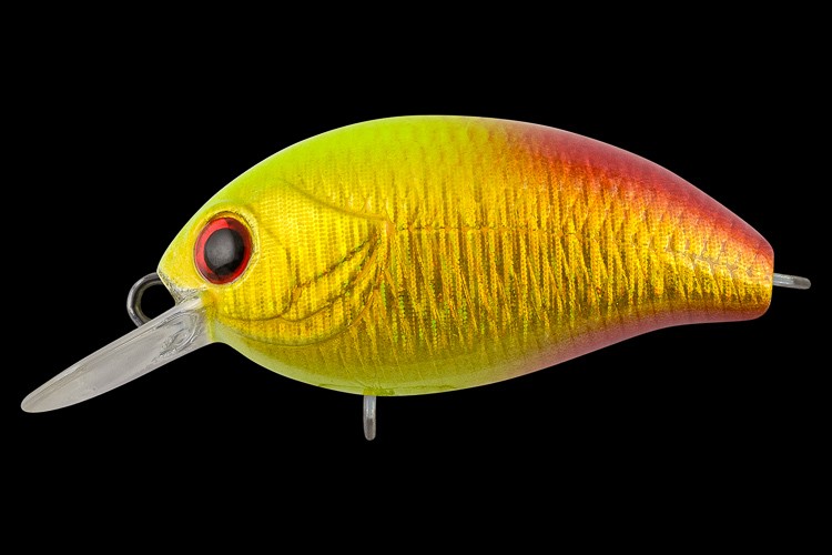  TsuYoki AGENT 36F 1021