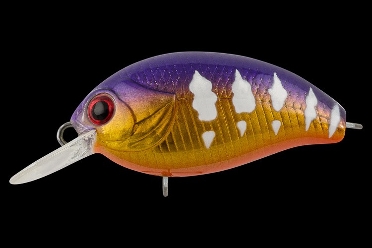  TsuYoki AGENT 36F 1069