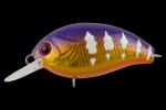  TsuYoki AGENT 36F 1069