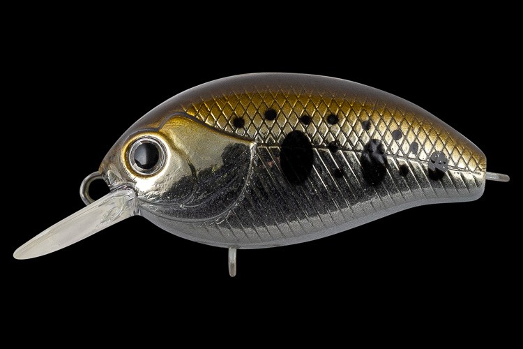  TsuYoki AGENT 36F 611