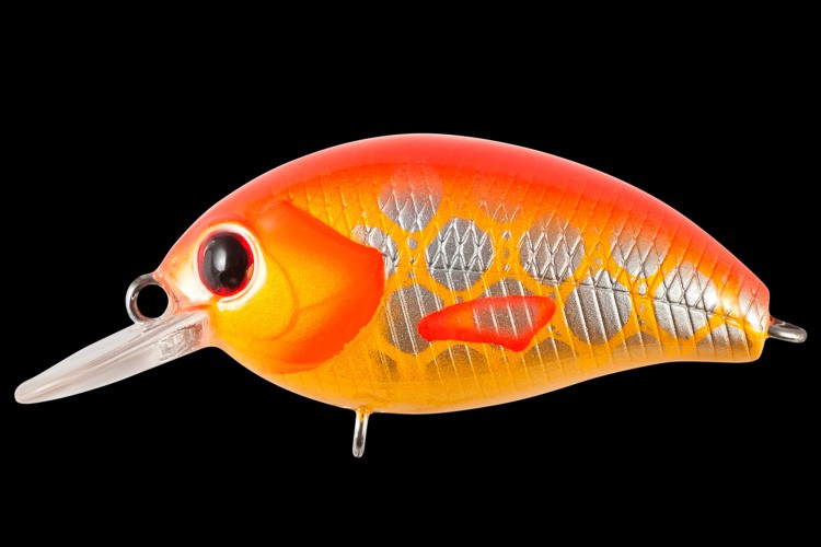  TsuYoki AGENT 36F 838