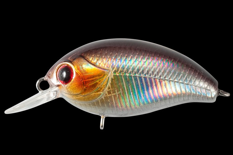  TsuYoki AGENT 36F 952