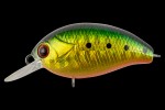  TsuYoki AGENT 36F A645