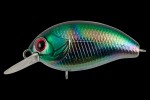  TsuYoki AGENT 36F AT006