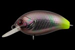  TsuYoki AGENT 36F AT021