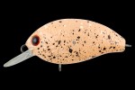  TsuYoki AGENT 36F E018