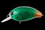  TsuYoki AGENT 36F E025