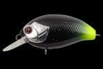  TsuYoki AGENT 36F E026