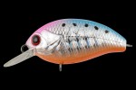 TsuYoki AGENT 36F E034