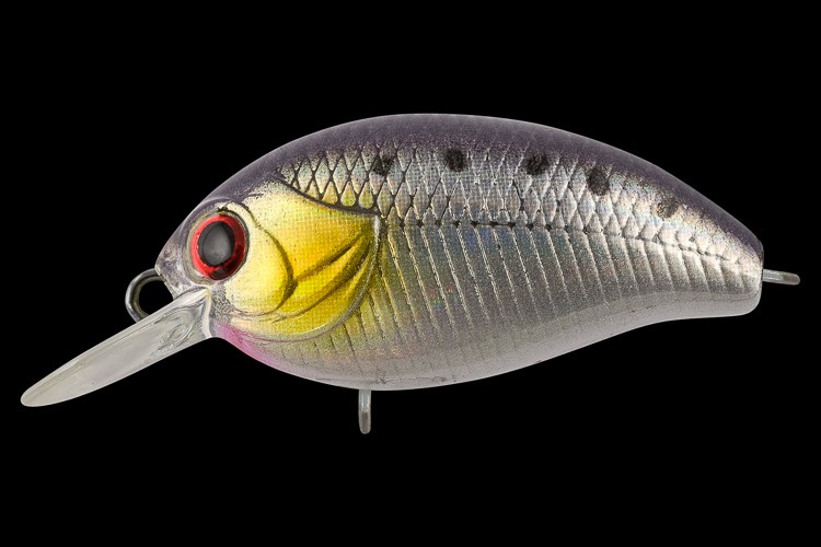  TsuYoki AGENT 36F E046