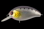  TsuYoki AGENT 36F E046