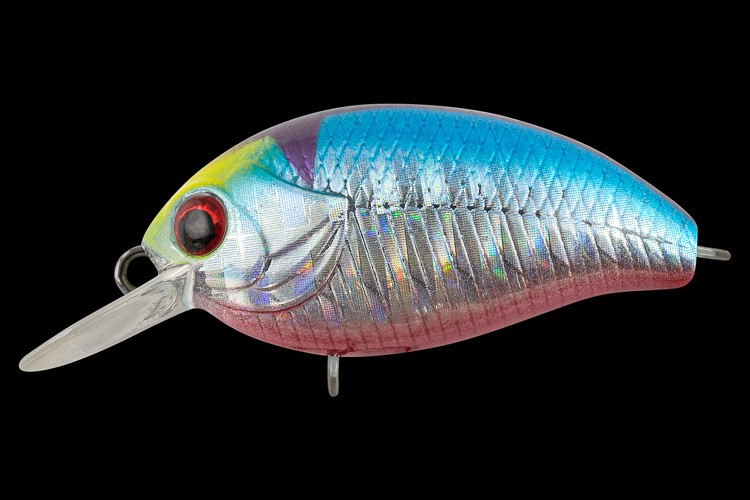  TsuYoki AGENT 36F E054