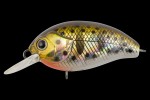  TsuYoki AGENT 36F E080