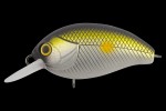  TsuYoki AGENT 36F E115