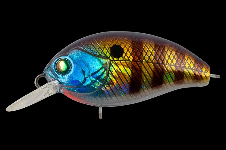  TsuYoki AGENT 36F K076
