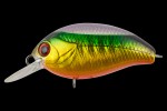  TsuYoki AGENT 36F SD014