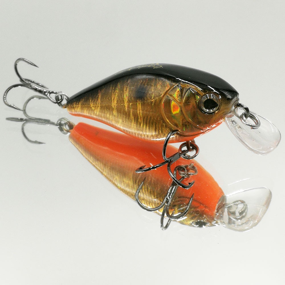 ������ Strike Pro Cranky-X 50 ��������� 5�� 7,9�� ����. 0,3� - 0,7� A70-613-SBO