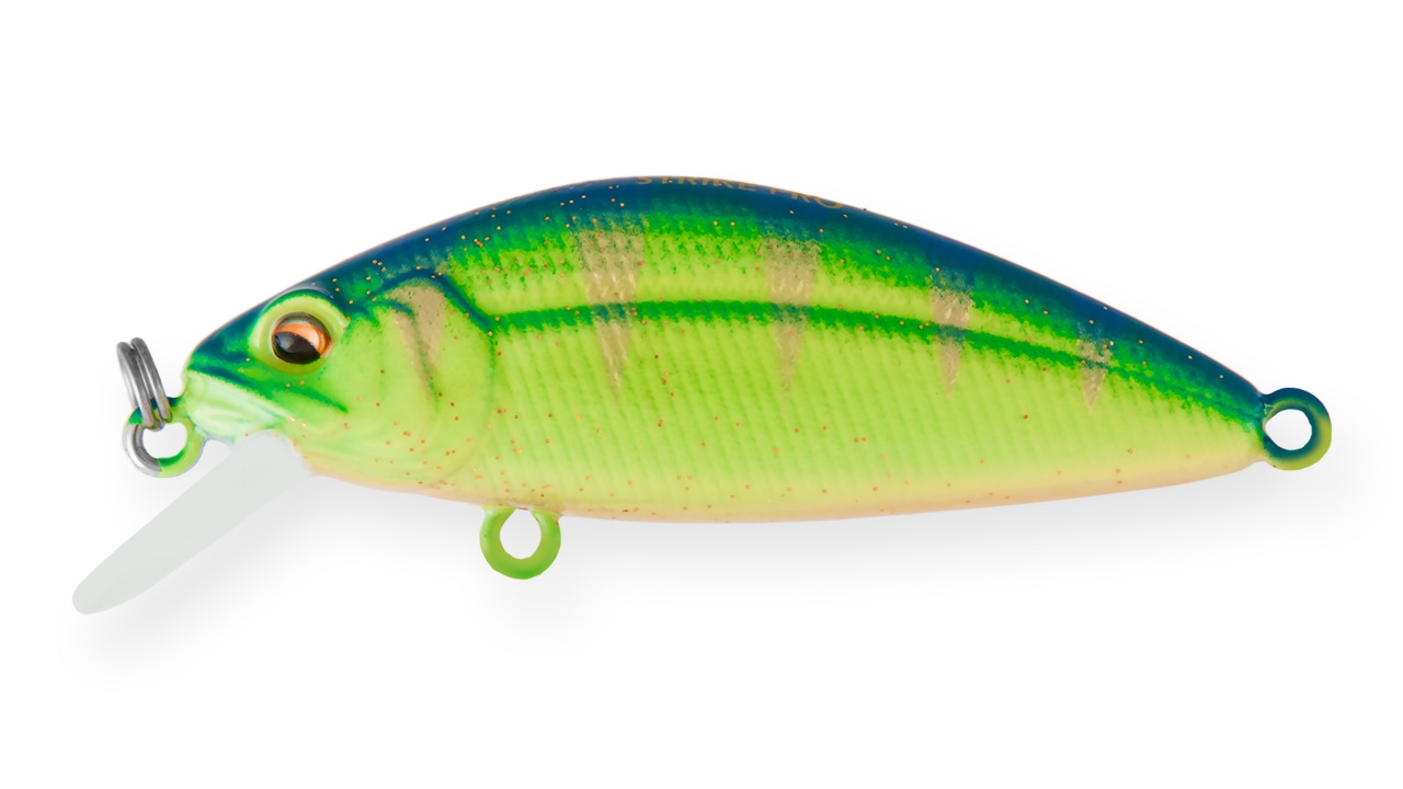 Shifty Shad Shallow 60