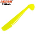  Akara Ribtail 3 7  04Y (5 .)