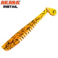  Akara Ribtail 3.5 9  417 (4 .)