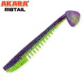  Akara Ribtail 3.5 9  447 (4 .)