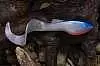 Мягкая приманка Orka Shad Tail 2013-ST-17 WBU