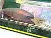 Воблер Megabass Deep-X 100 matt craw