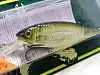 Воблер Megabass Deep-X 200T avocado ayu