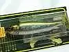 Воблер Megabass Dog-X Giant gg hasu