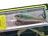 Воблер Megabass Live-X Smolt m champagne kinkuro