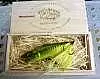 Воблер Megabass Woody Pop X chart belly bass