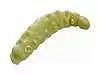 Силиконовая приманка Berkley Powerbait Honey Worms 25 yellow scales