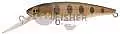 Воблер PONTOON21  JPP, Greedy-Guts 55F-SR, 55, од.кр., 3.90гр, 0.5-0.8м., №R02