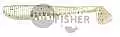 Виброхвост Pontoon21 Homunculures Awaruna, 3.0* P21-SB-AWA-3.0-07-118