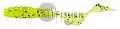 Твистер Pontoon21 Homunculures Pillo, 1.5* P21-SB-PILLO-1.5-09-112