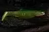 Силиконовая приманка Orka Shad 2002-S-9 YG (уп. 10 шт.)