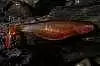 Силиконовая приманка Orka Shad 2006-S-11 OB (уп. 5 шт.)