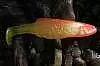 Силиконовая приманка Orka Shad 2008-S-14 YR (уп. 3 шт.)